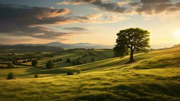 maestoso tramonto al di sopra di verde prati ai generativo foto