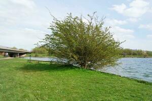 bellissimo Visualizza di persone a piedi e visitare il volontà lago di Milton keynes città di Inghilterra UK, Immagine catturato su aprile 9, 2023 foto