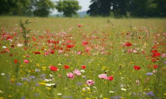 primavera prato è vivo con il bellezza di fiori la creazione di utilizzando generativo ai utensili foto