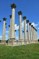 vecchio Campidoglio colonne a il botanico giardino nel dc foto