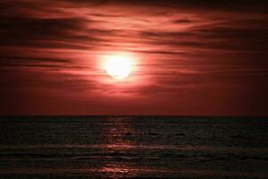 tramonto, cigni nuoto nel il illuminato mare. leggero onde. natura foto, baltico mare foto