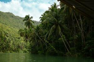 Visualizza di giungla verde fiume loboc a bohol isola foto