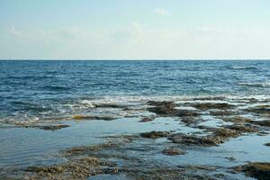 il pietra costa di il mediterraneo mare nel Cipro. foto