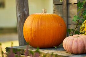 zucche su il tavolo. Halloween umore. foto