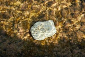 bianca pietra nel acqua come un' naturale sfondo. foto