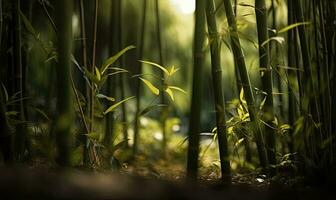 tranquillo bambù alberi nel un' sereno foresta ambientazione con sfocato sfondo. la creazione di utilizzando generativo ai utensili foto