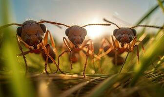 ottenere su vicino e personale con un formica attraverso un' sbalorditivo macrofotografia autoscatto. la creazione di utilizzando generativo ai utensili foto