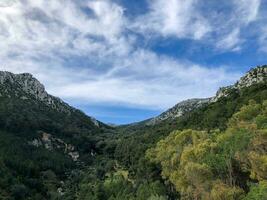 un' Visualizza di il montagne e alberi nel il valle foto