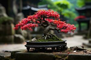 tradizionale giapponese Bonsai pianta arte ai generato foto