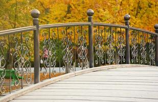 bellissimo natura autunno paesaggio con piccolo ponte. scenario Visualizza su autunno città parco con d'oro giallo fogliame nel nuvoloso giorno foto