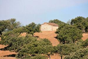 un vecchio pietra Casa su un' collina con alberi foto