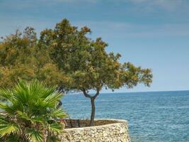 il isola di Mallorca foto