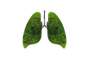 illustrazione dell'ambiente e della medicina dell'albero polmonare foto