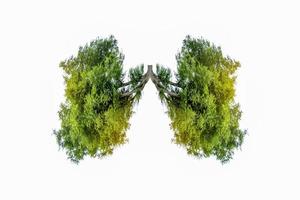 illustrazione dell'ambiente e della medicina dell'albero polmonare foto