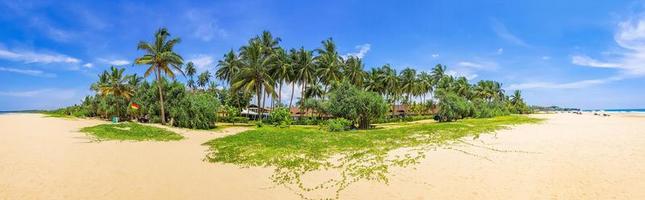 bellissimo panorama soleggiato dalla spiaggia di bentota in sri lanka. foto