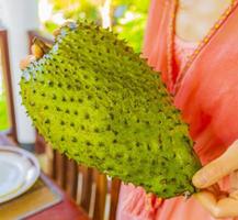 la donna tiene i regali di frutta tropicale sauersack soursop in sri lanka. foto