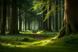 un' sentiero attraverso un' foresta con alberi e erba. ai-generato foto