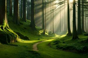 un' sentiero attraverso un' foresta con raggi di sole splendente attraverso il alberi. ai-generato foto