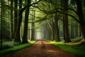 un' sentiero attraverso un' foresta con alberi e verde erba. ai-generato foto