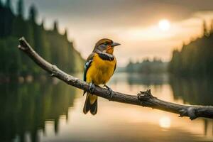 un' uccello si siede su un' ramo vicino un' lago. ai-generato foto