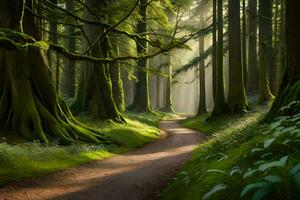 un' sentiero attraverso un' foresta con alberi e muschio. ai-generato foto