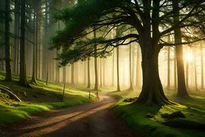 un' sentiero attraverso un' foresta con alberi e nebbia. ai-generato foto