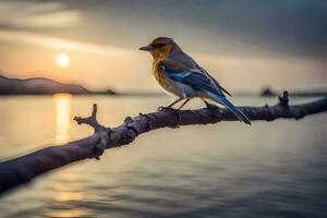 un' uccello si siede su un' ramo nel davanti di il sole. ai-generato foto