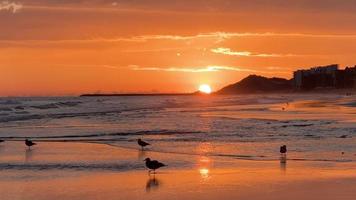 spiaggia soleggiata tramonto nuvoloso con condomini foto