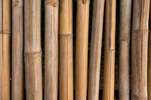 trama di recinzione di bambù con sfondo di motivi naturali foto