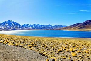 miscanti altiplanico laguna nel il atacama deserto - san pedro de atacama. foto