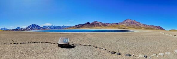 miscanti altiplanico laguna nel il atacama deserto - san pedro de atacama. foto