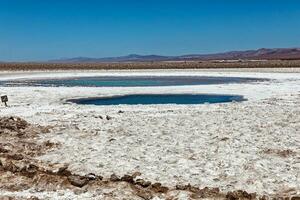 paesaggio di il nascosto baltinache lagune - atacama deserto - chile. foto