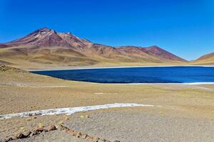 miniques altiplanico laguna nel il atacama deserto - san pedro de atacama. foto