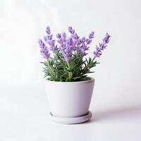 lavanda nel pentole ai generativo foto