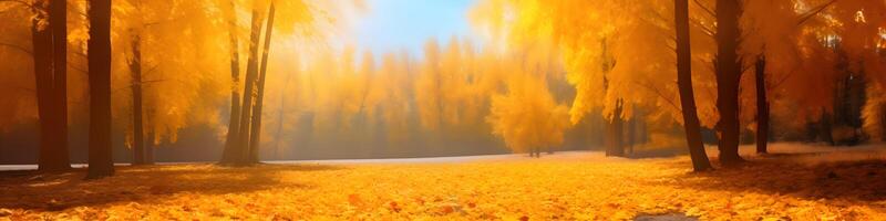 autunnale alberi nel un all'aperto parco su un' Bellissima, luminosa giorno - bellissima, vibrante, colorato autunno scenario Compreso un' coperta di giallo le foglie. foto