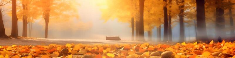 autunnale alberi nel un all'aperto parco su un' Bellissima, luminosa giorno - bellissima, vibrante, colorato autunno scenario Compreso un' coperta di giallo le foglie. foto