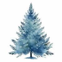 blu abete rosso, Natale albero, acquerello illustrazione su bianca sfondo foto