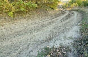 autunno paesaggio con un' curvo strada e tracce di il Filo di grande ruote di agricolo macchinari foto