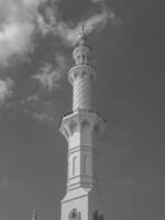 Moschea di Abu Dhabi foto