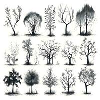 impostato di alberi sagome isolato su bianca sfondo generativo ai. foto