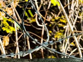 avvicinamento di acciaio spinato filo Strung su un' recinto per sicurezza. il concetto è non libertà. foto