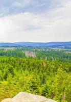 Foresta morti abeti a Brocken picco di montagna Harz Germania
