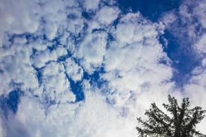 sole sopra la foresta di abeti e nuvole brocken harz germania foto