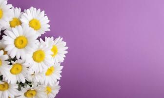 floreale composizione con margherite e minuscolo bianca fiori. ai generativo foto