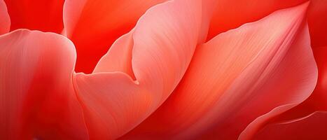 macro bellezza di un' singolo tulipano. ai generativo foto