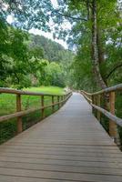 ponte il fiume valira del orient a cami ral in estate in andorra. foto
