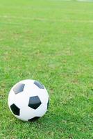 pallone da calcio sul campo da calcio foto