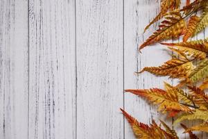 autunno rosso foglia di felce piatto di legno bianco tavolo modello vuoto sfondo foto