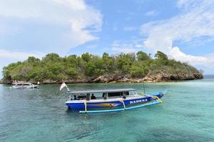 bellissima natura marina di lombok, indonesia