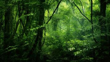 mistico fantasia foresta denso con verde alberi ai generativo foto